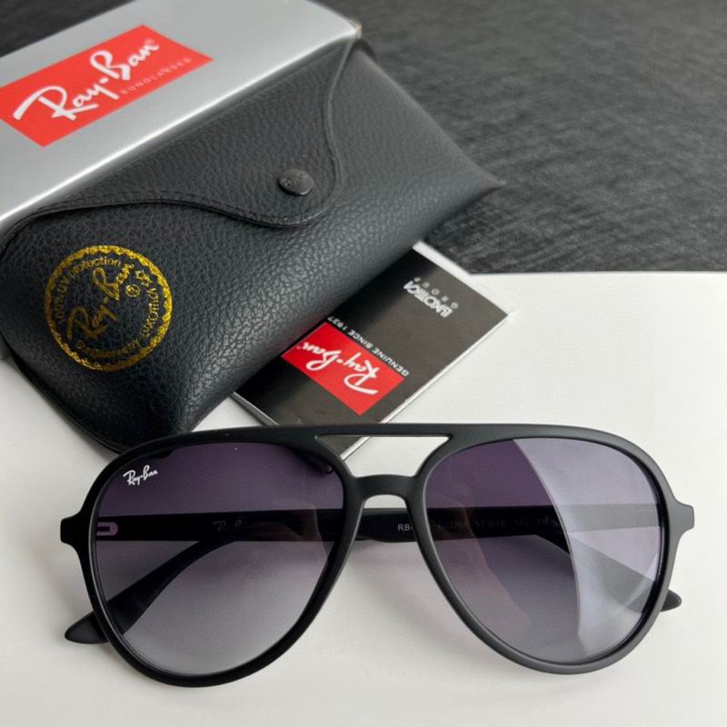 Rayban Glasses (201)